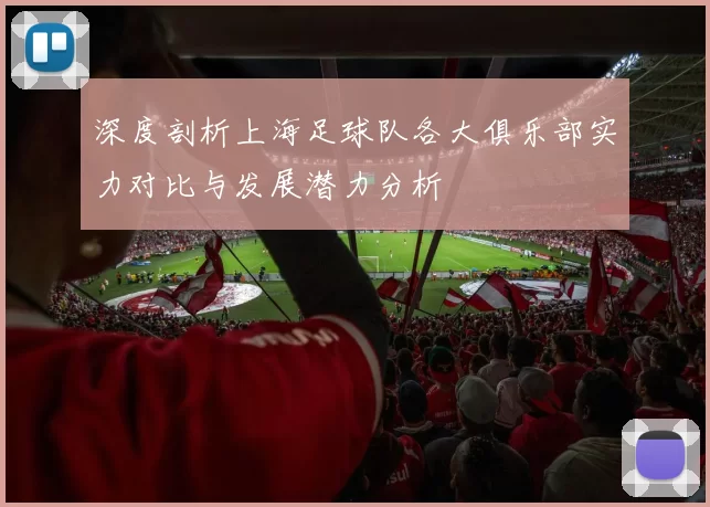 深度剖析上海足球队各大俱乐部实力对比与发展潜力分析