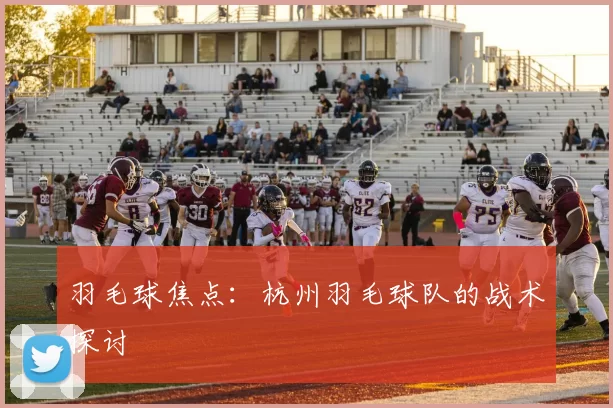 羽毛球焦点：杭州羽毛球队的战术探讨
