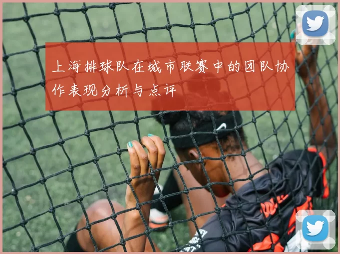 上海排球队在城市联赛中的团队协作表现分析与点评