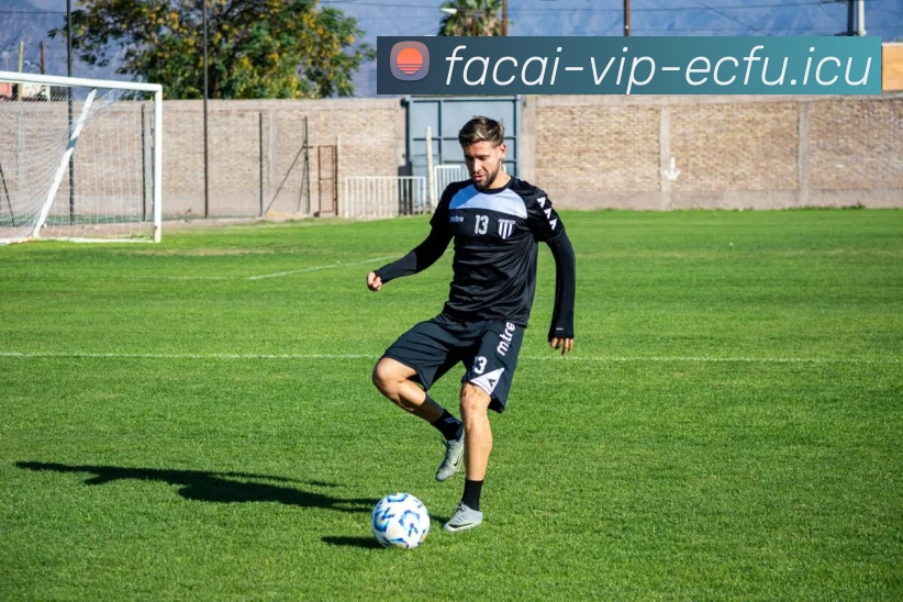 App Interface Preview